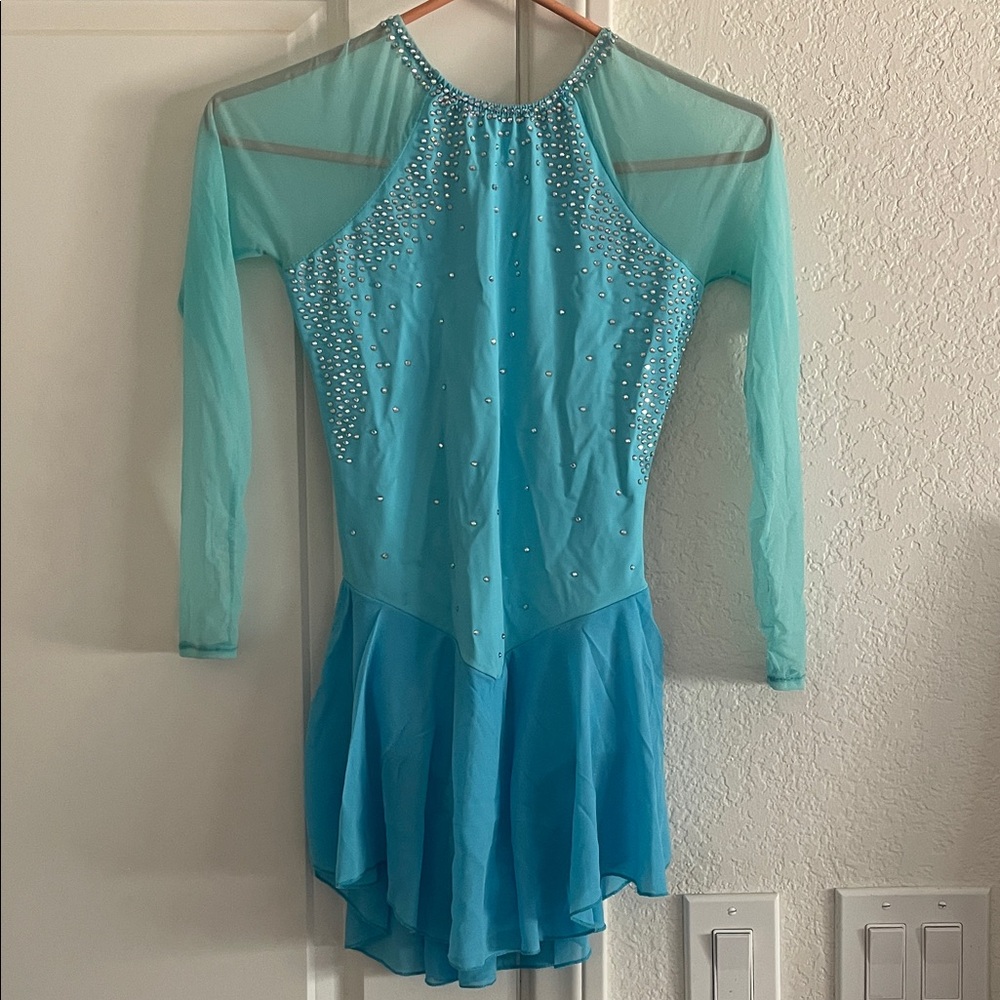 Blue Long Sleeve Figure Skating Dress - wore for Tanya Harding Halloween costume